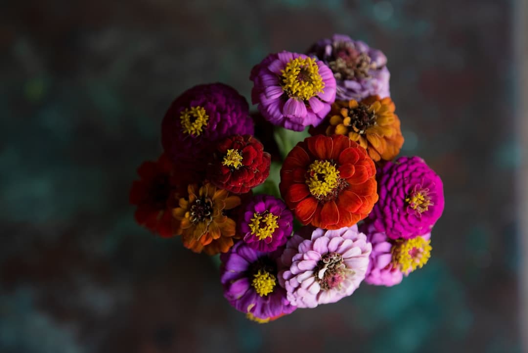 Snittblommor